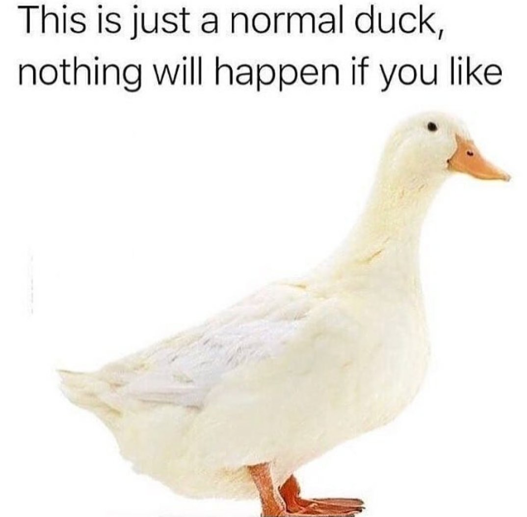 This is just a normal duck nothing will happen if you like A