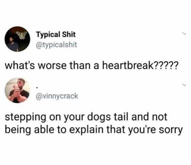 Typical Shit typicalshit s vinnycrack stepping on your dogs tail and not being able to explain that youre sorry
