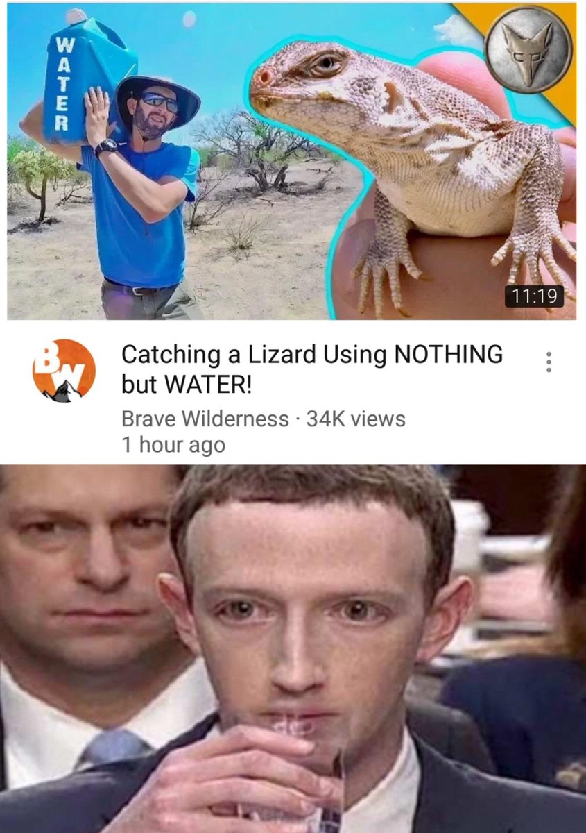 3 Catching a Lizard Using NOTHING but WATER Brave Wilderness 34K views 1 hour ago
