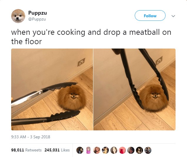 1 Puppzu rupo Ponew when youre cooking and drop a meatball on the floor 933 AM 3 Sep 2018 9go11reeers 245031 Lkes B HOPVOOD