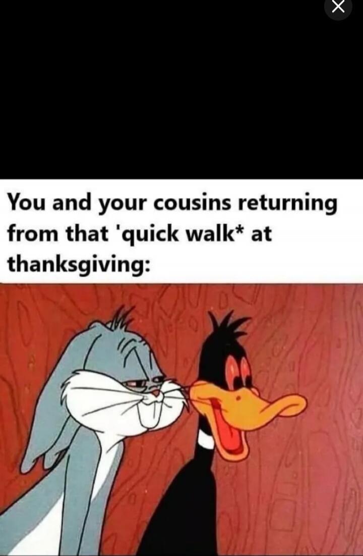 You and your cousins returning from that 'quick walk* at thanksgiving: