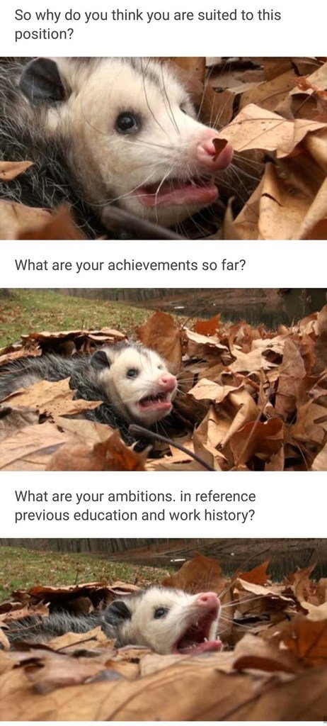 So why do you think you are suited to this position What are your ambitions in reference previous education and work history