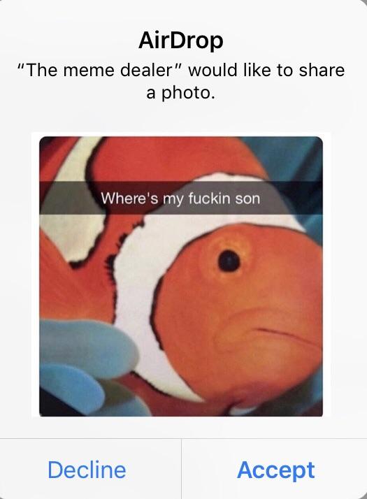 AirDrop The meme dealer would like to share a photo Decline Accept