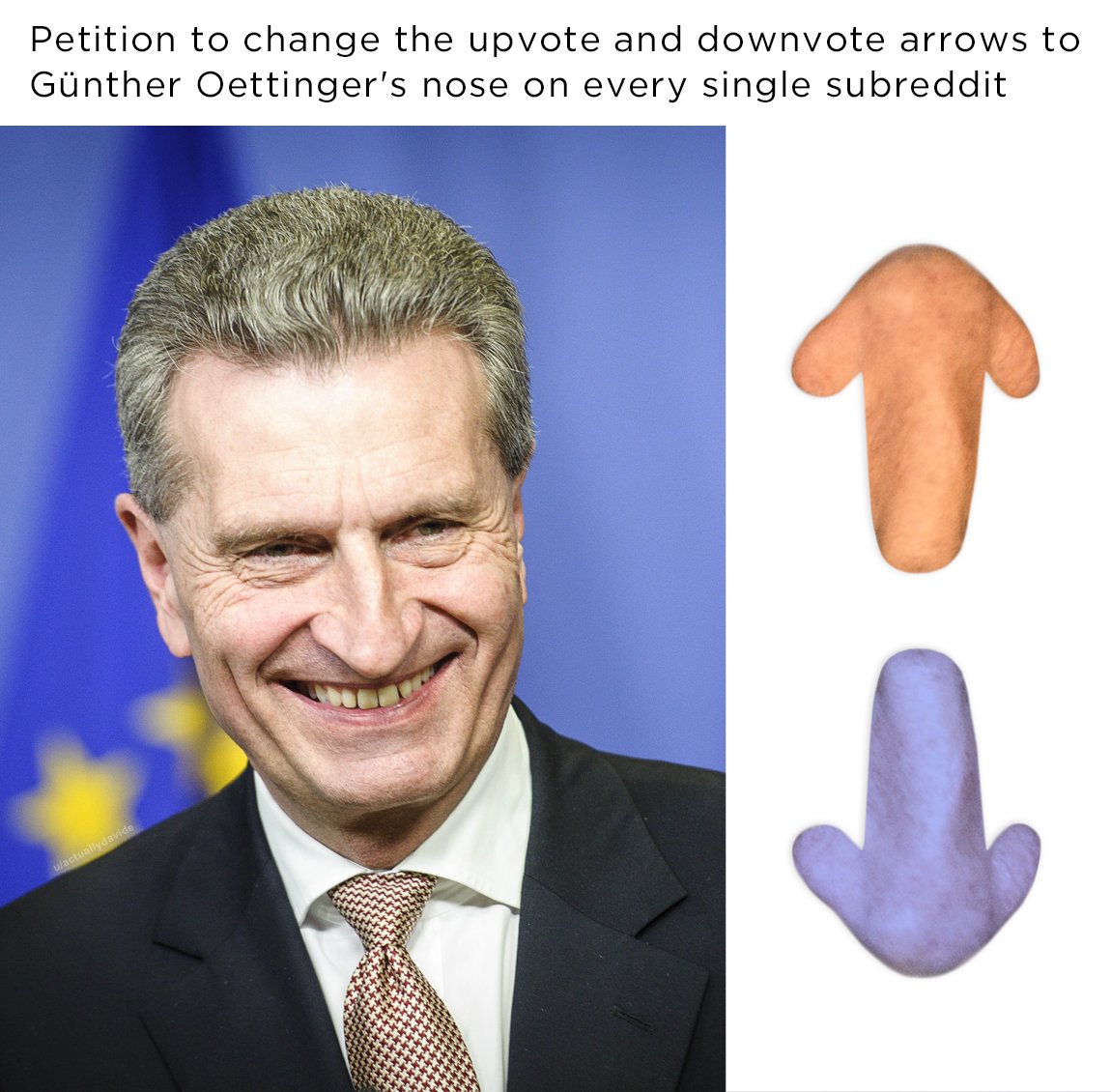 Petition to change the upvote and downvote arrows to GUnther Oettingers nose on every single subreddit