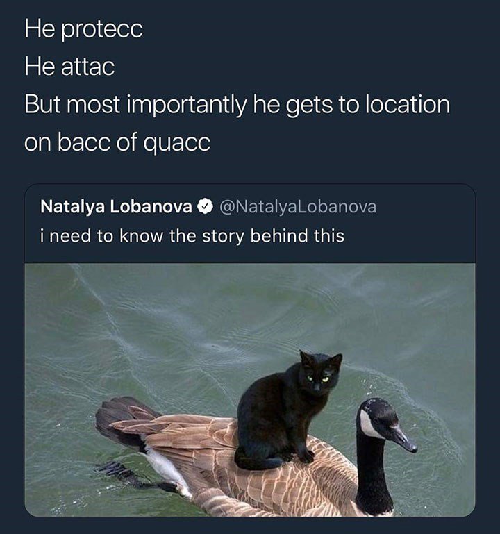 He protecc He attac But most importantly he gets to location olgllof IeleX0iloVETele WEIEWEN K ENTIER REINEIElEIRel LT i need to know the story behind this