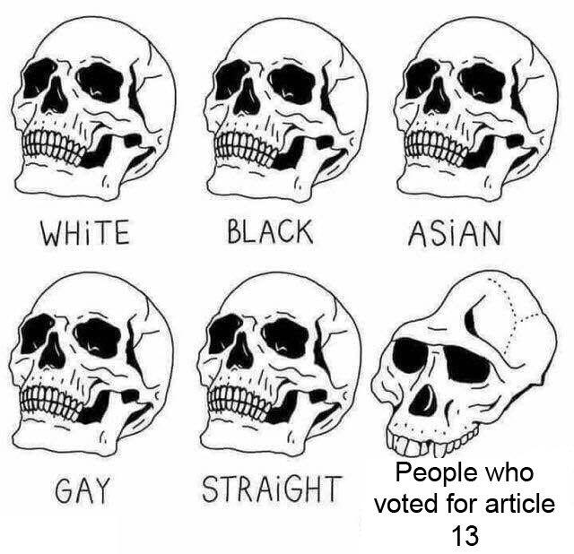 s 2 People who STRAIGHT voted for article 13