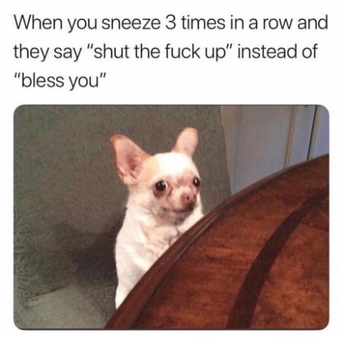 When you sneeze 3 times in a row and they say shut the fuck up instead of bless you