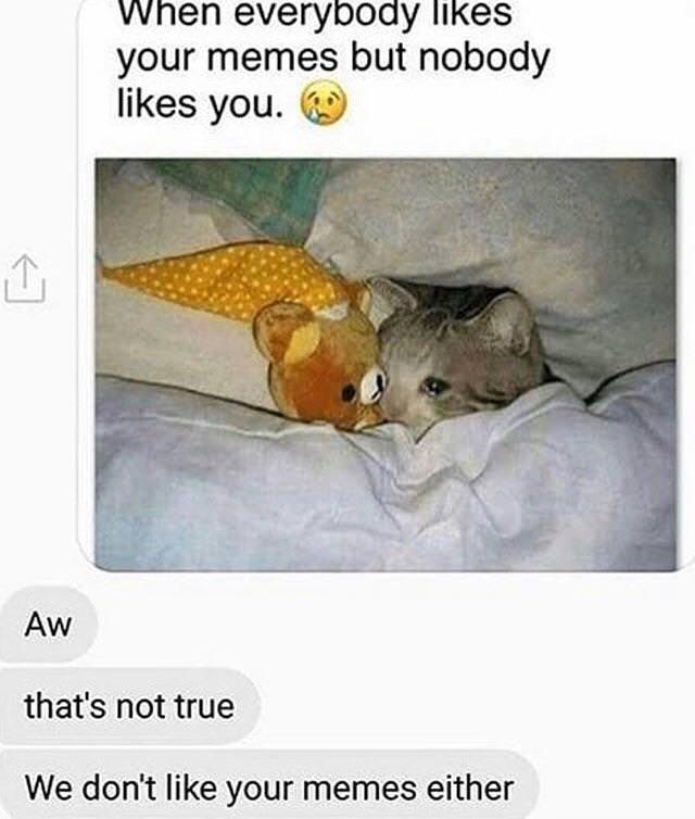 vvnen everyboay liIkes your memes but nobody likes you Aw thats not true We dont like your memes either