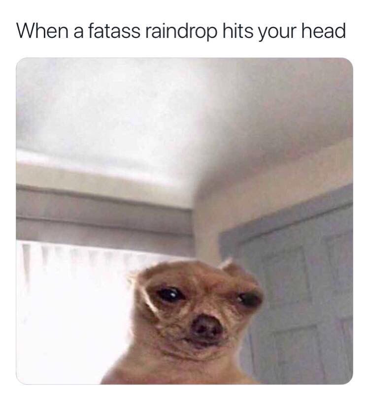 When a fatass raindrop hits your head