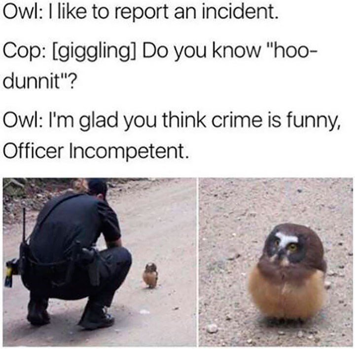 Owl like to report an incident Cop giggling Do you know hoo dunnit Owl Im glad you think crime is funny Officer Incompetent