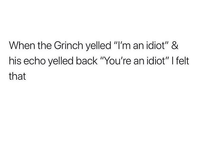 When the Grinch yelled Im an idiot his echo yelled back Youre an idiot felt that