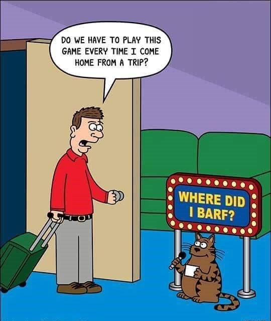 DO WE HAVE TO PLAY THIS GAME EVERY TIME I COME HOME FROM A TRIP