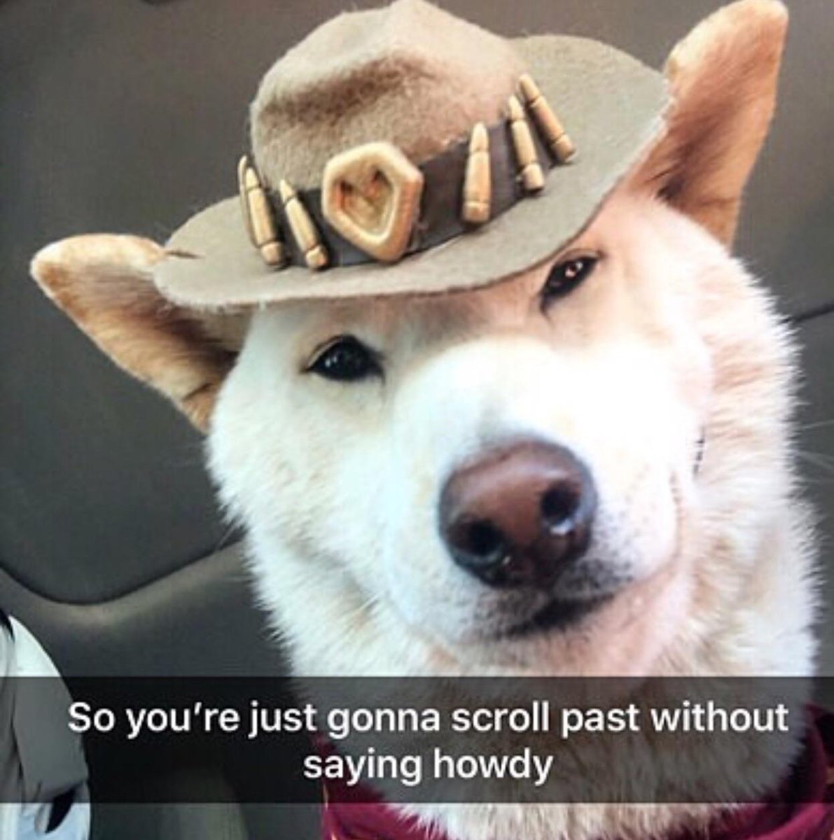 A STe RV VM RV o g ERTol do W o T A1 g o saying howdy