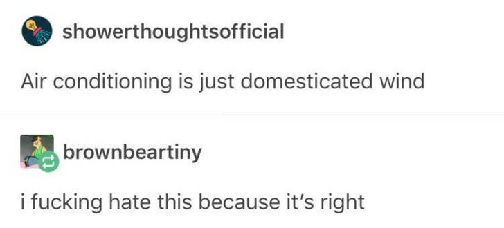 showerthoughtsofficial Air conditioning is just domesticated wind 5 brownbeartiny i fucking hate this because its right