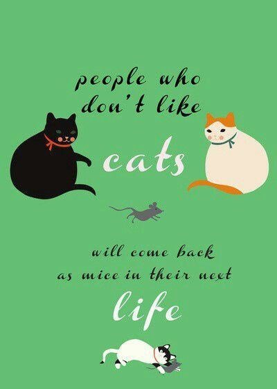 peopz who doa life jjfh A e a3 as acice in tHein aeet