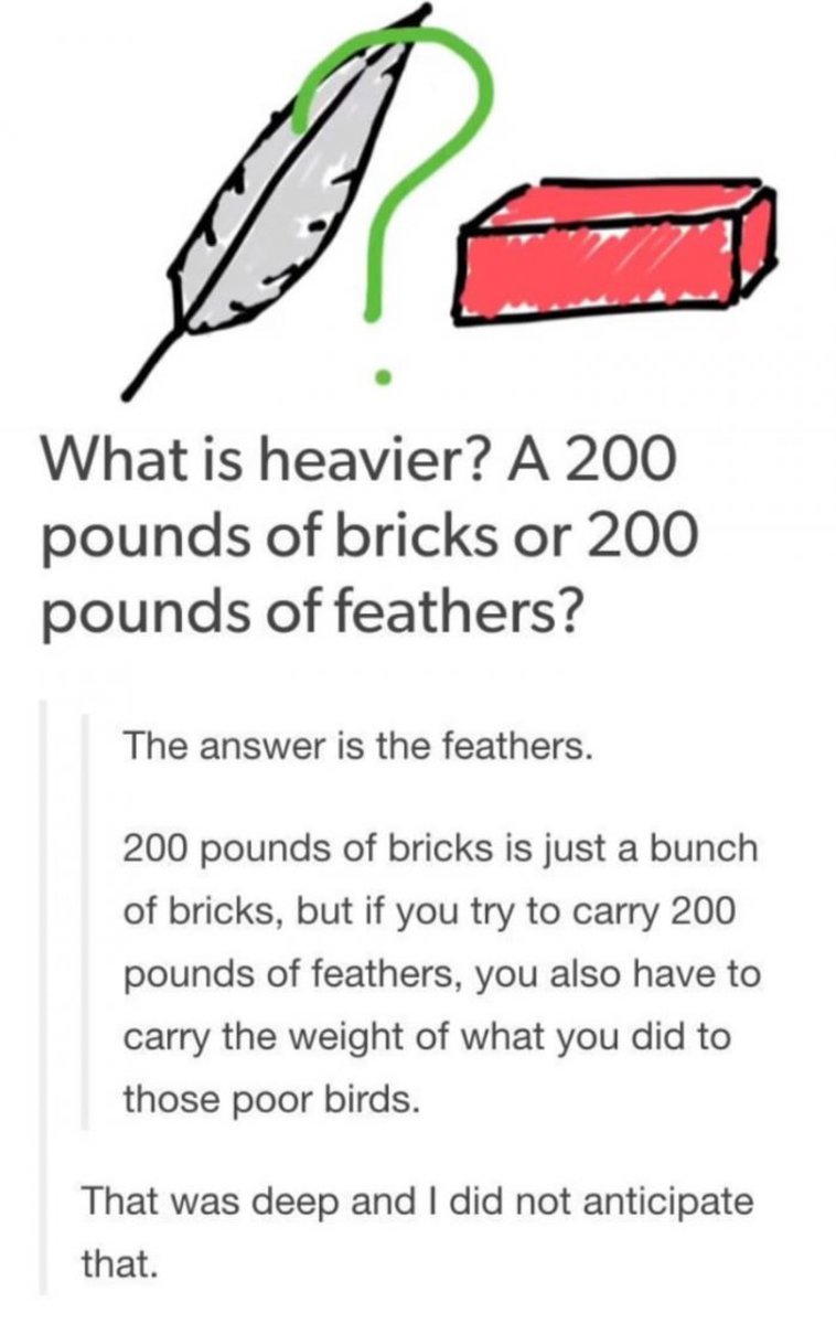 Vi What is heavier A 200 pounds of bricks or 200 pounds of feathers The answer is the feathers 200 pounds of bricks is just a bunch of bricks but if you try to carry 200 pounds of feathers you also have to carry the weight of what you did to those poor birds That was deep and did not anticipate that