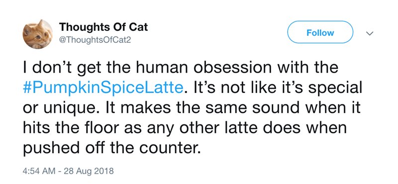 Do v dont get the human obsession with the PumpkinSpicel atte Its not like its special or unique It makes the same sound when it hits the floor as any other latte does when pushed off the counter 454 AM 28 Aug 2018