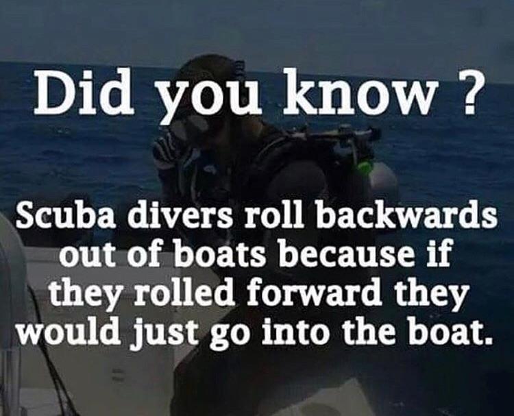 Did you know Scuba divers roll backwards out of boats because if they rolled forward they would just go into the boat