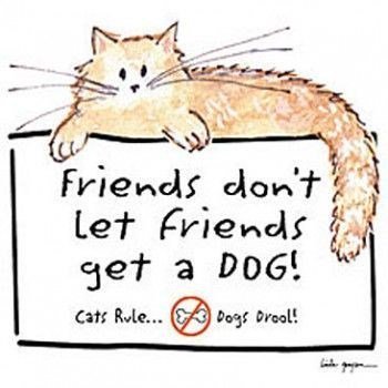 friends donwt let Eriends H get a D0G Cats Rile Pogs broalt Ehppm