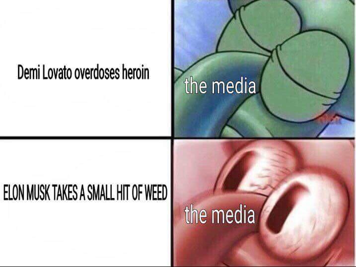 Derni Lovato overdoses heroin ihe media ELONMUSK TAKES A SMALL T OF WEED