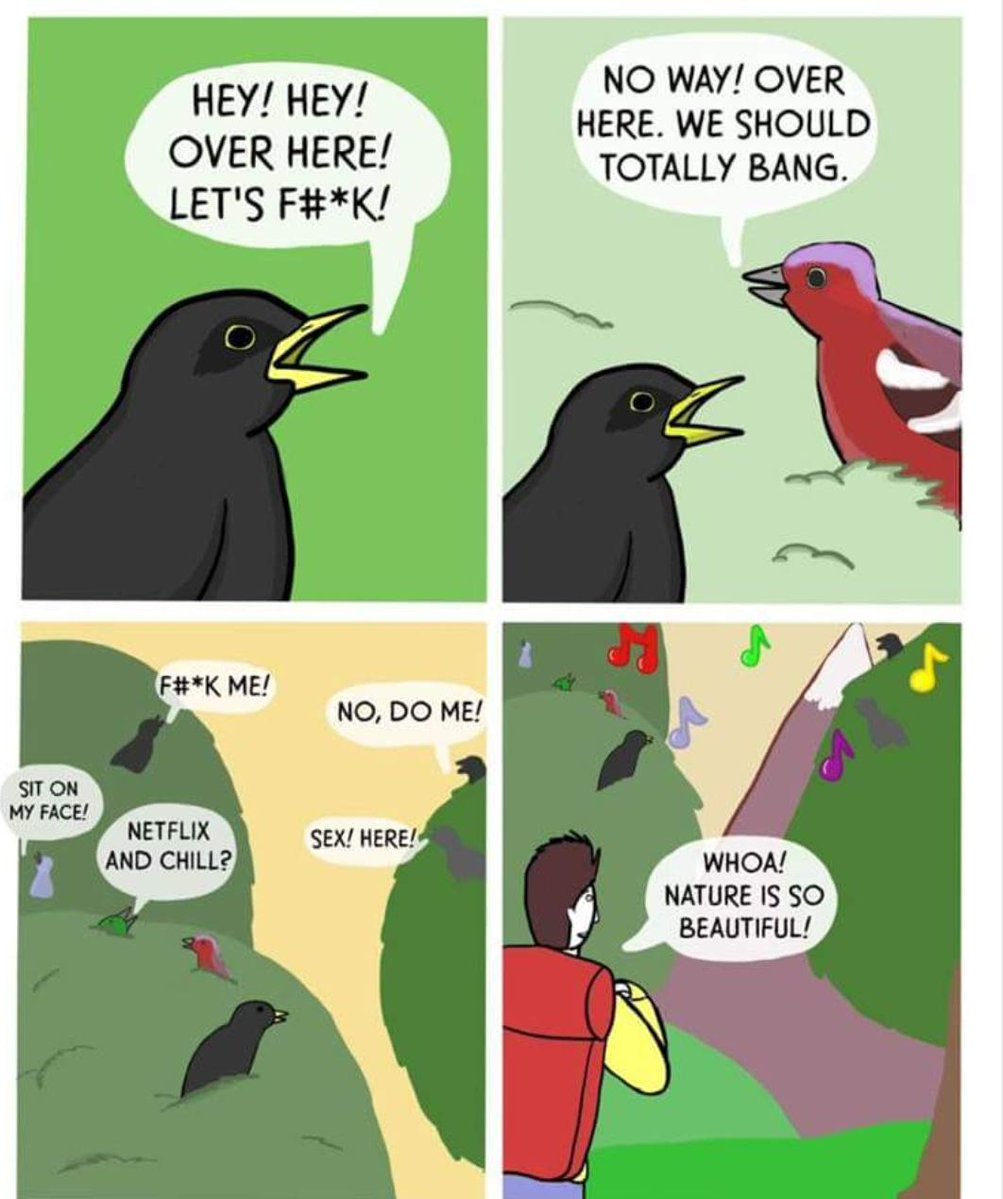 HEY HEY NO WAY OVER HERE WE SHOULD OVER HERE TOTALLY BANG LETS FK NO DO ME SEX HERE WHOA NATURE IS SO BEAUTIFUL