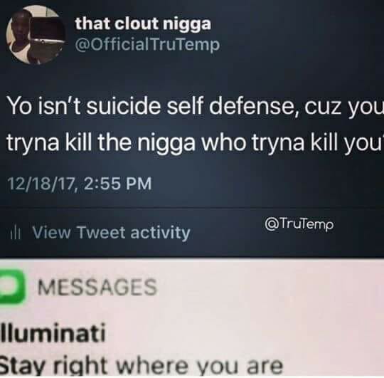 LUETLH LN T F fficialTruTemp Yo isnt suicide self defense cuz you tryna kill the nigga who tryna kill you 1817 255 PM Tweet activity liero lluminati stay right where vou are