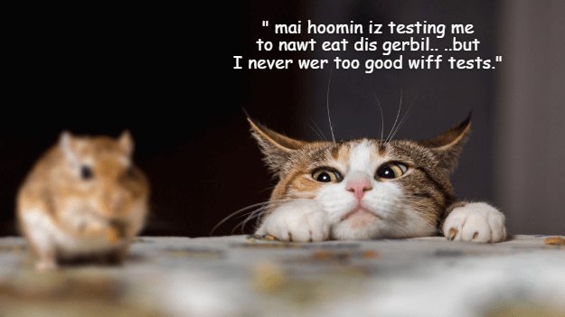 mai hoomin iz testing me to nawt eat dis gerbilbut I never wer foo good wiff tests