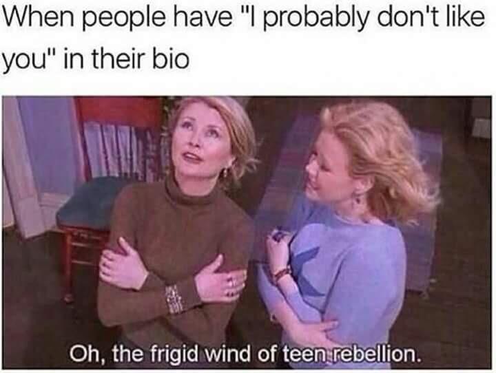When people have probably dont like you in their bio Oh the frigid wind of teehibellion