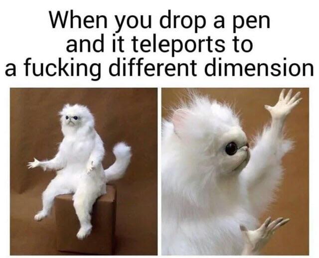 When you drop a pen and it teleports to a fucking different dimension