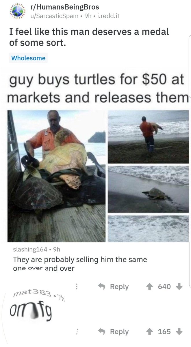 rHumansBeingBros B uSarcasticSpam 9h ireddit I feel like this man deserves a medal of some sort guy buys turtles for 50 at markets and releases them slashing164 9h They are probably selling him the same one over and over Reply 4 640 3 mat38y Org Reply 4 165