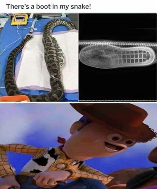 Theres a boot in my snake