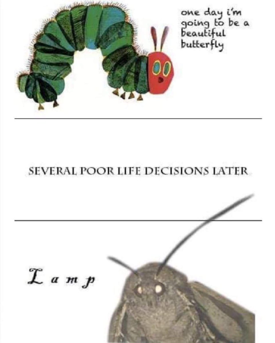 SEVERAL POOR LIFE DECISIONS LATER Q