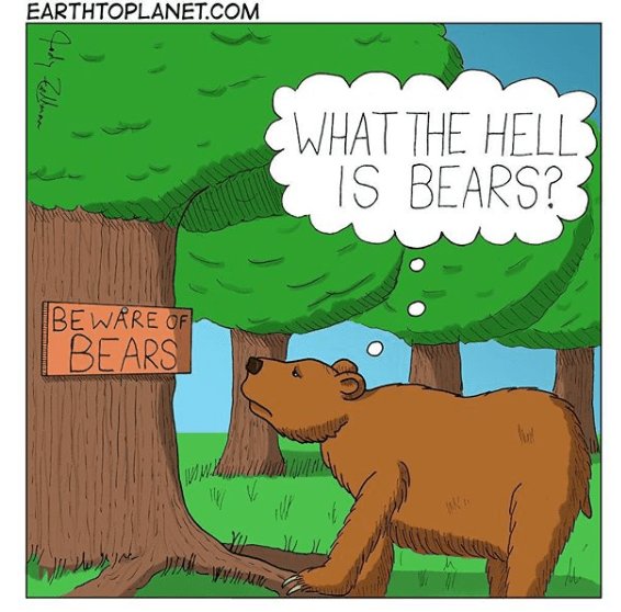 IS BEARS