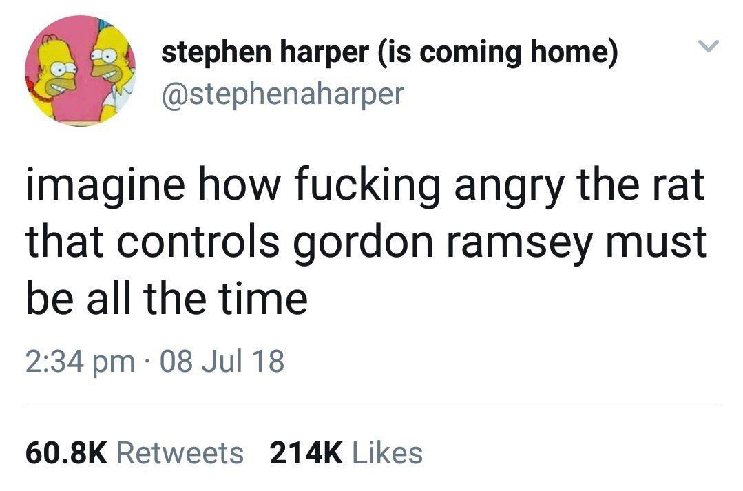stephen harper is coming home stephenaharper imagine how fucking angry the rat that controls gordon ramsey must be all the time 234 pm 08 Jul 18 608K Retweets 214K Likes