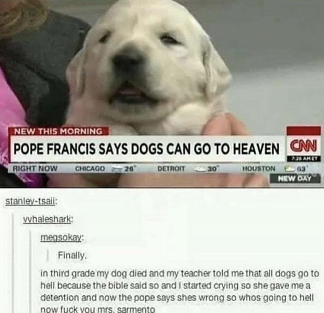 NEW THIS MORNING stanley tsail yvhaleshark meqsokay Finally in third grade my dog died and my teacher told me that all dogs go to hell because the bible said so and started crying so shegaveme a detention and now the pope says shes wrong so whos going to hell now fuck vou mrs sarmento