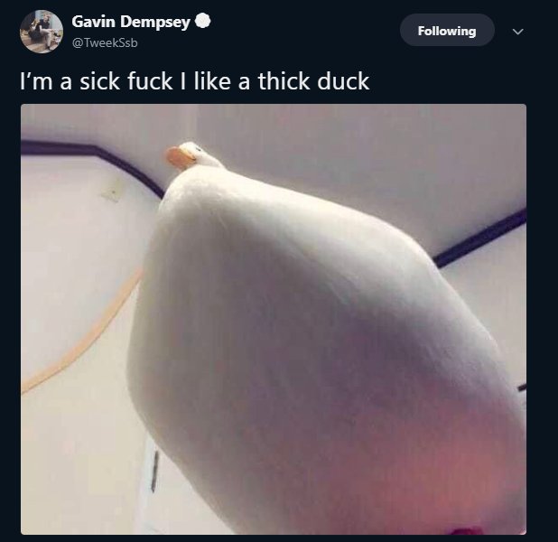 Ga Dempsey Im a sick fuck I like a thick duck