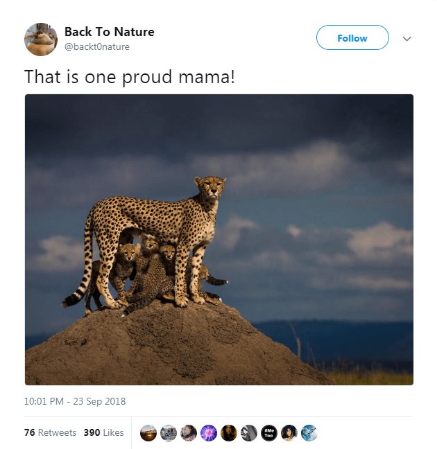 0 Back To Nature That is one proud mama oB2H0IS0E