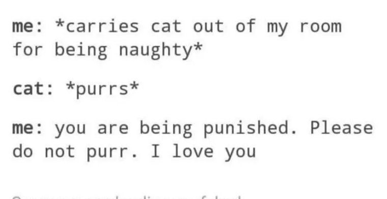 me carries cat out of my room for being naughty cat purrs me you are being punished Please do not purr I love you