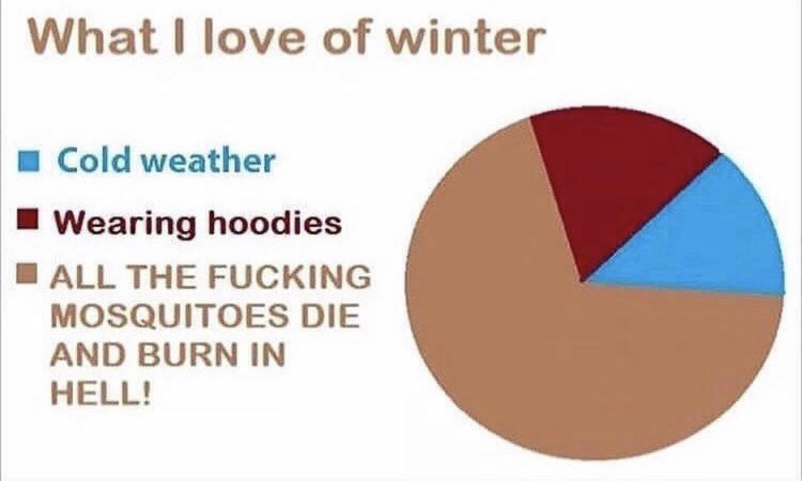What love of winter Cold weather B Wearing hoodies B ALL THE FUCKING MOSQUITOES DIE AND BURN IN HELL