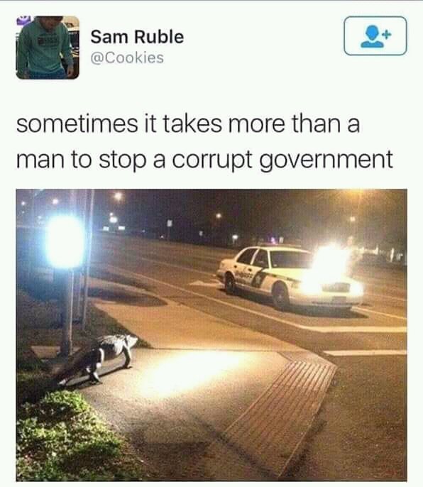 Sam Ruble Cookies sometimes it takes more than a man to stop a corrupt government
