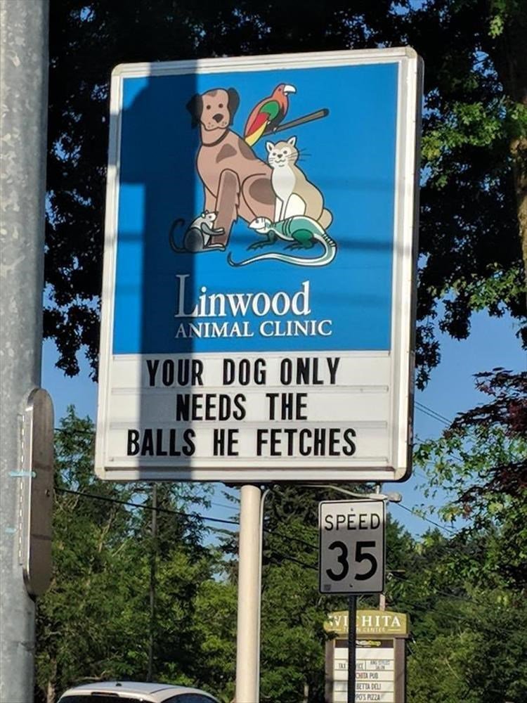 HE FETCHES