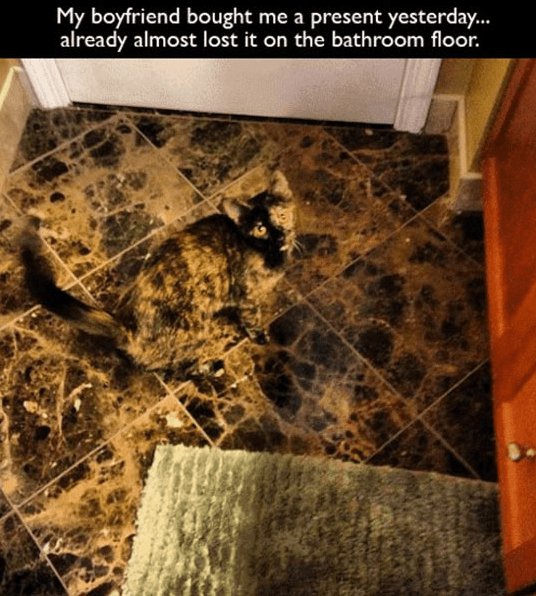 My boyfriend bought me a present yesterday already almost lost it on the bathroom floor