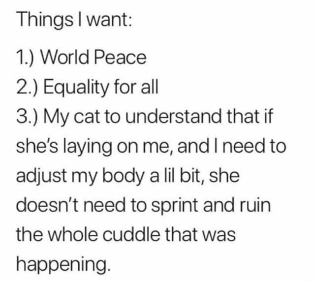 Things want 1 World Peace 2 Equality for all 3 My cat to understand that if shes laying on me and need to adjust my body allil bit she doesnt need to sprint and ruin the whole cuddle that was happening