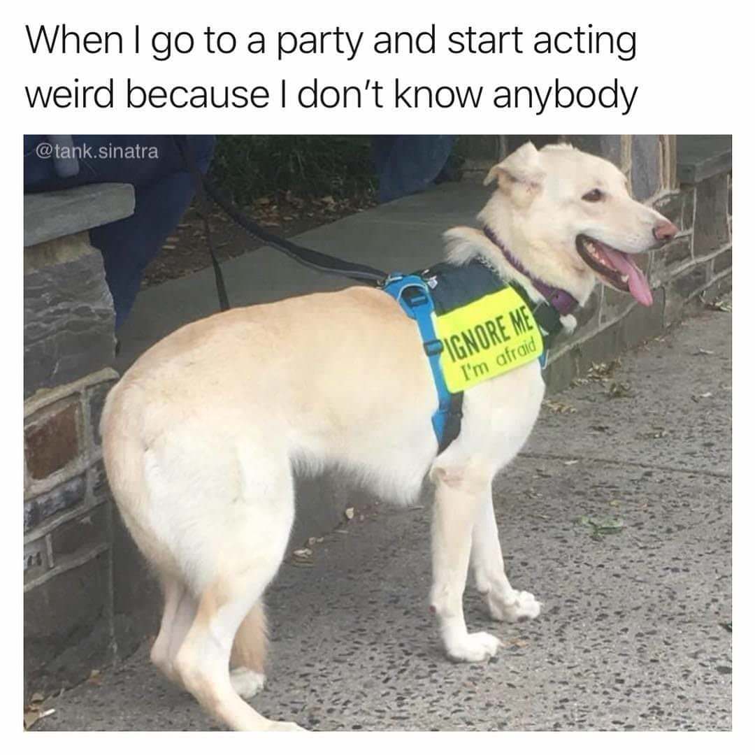 When go to a party and start acting weird because dont know anybody tanksinatra