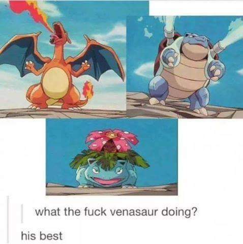 what the fuck venasaur doing his best