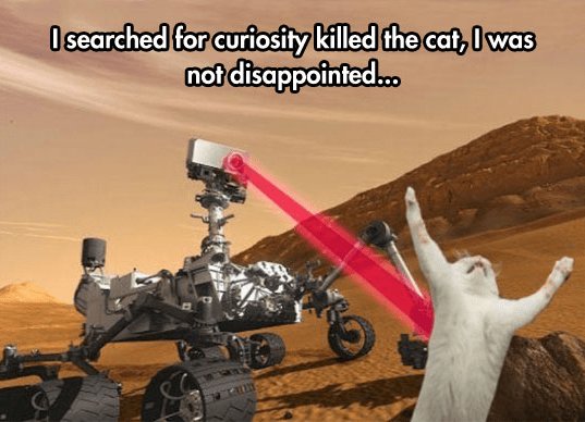 Ifsearchedlforfcuriositykilledthelcatiliwas