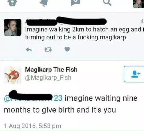 e A 4 Imagine walking 2km to hatch an egg and i turning out to be a fucking magikarp v Magikarp The Fish _23 imagine waiting nine months to give birth and its you arp_Fist Aug 2016 553 pr
