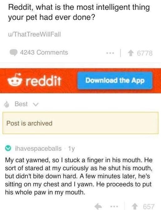 Reddit what is the most intelligent thing your pet had ever done iThatTre 4243 Comments Greddn P Post is archived ihavest My cat yawned so stuck a finger in his mouth He sort of stared at my curiously as he shut his mouth but didnt bite down hard A few minutes later hes sitting on my chest and yawn He proceeds to put his whole paw in my mouth