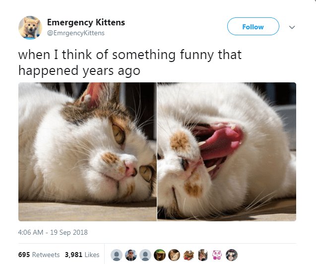 e d when I think of something funny that happened years ago 406 AM 19 Sep 2018 695 Retvects 3981k 8 H L QPOBH L O