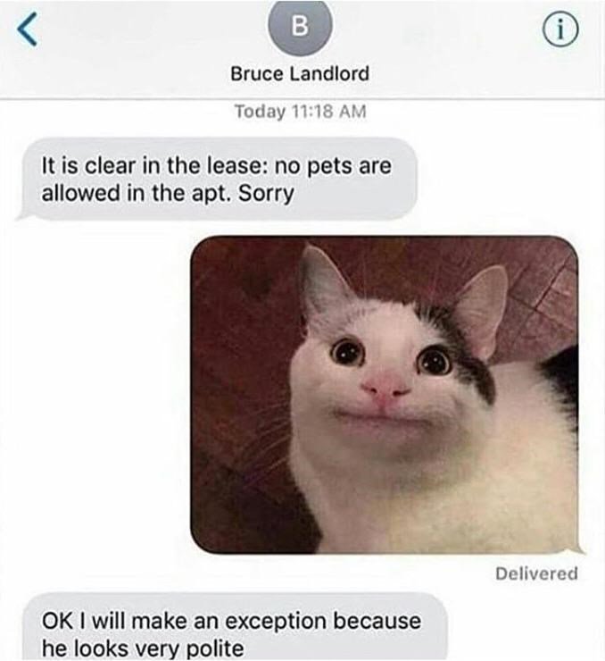 Bruce Landlord Today 1118 AM It is clear in the lease no pets are allowed in the apt Sorry Delivered OK will make an exception because he looks very polite